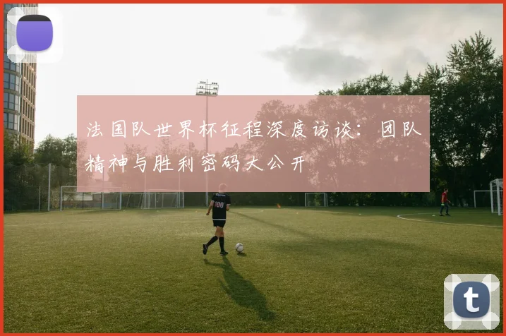 法国队世界杯征程深度访谈:团队精神与胜利密码大公开