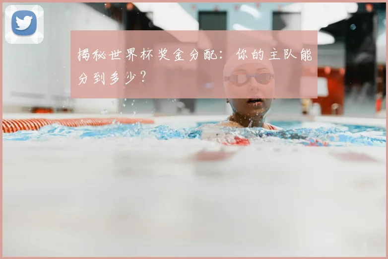 揭秘世界杯奖金分配:你的主队能分到多少?