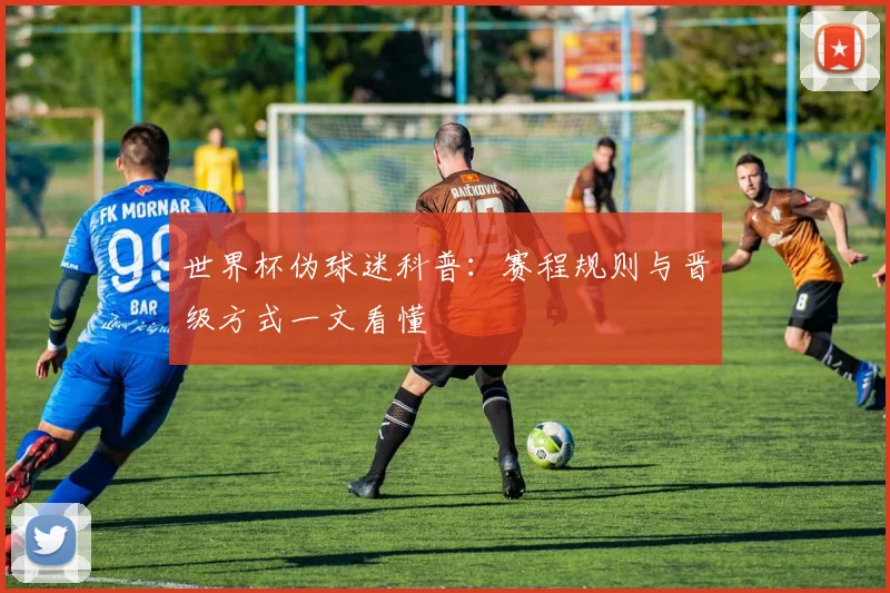 世界杯伪球迷科普:赛程规则与晋级方式一文看懂