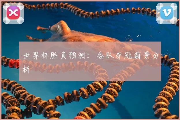 世界杯胜负预测：各队夺冠前景分析
