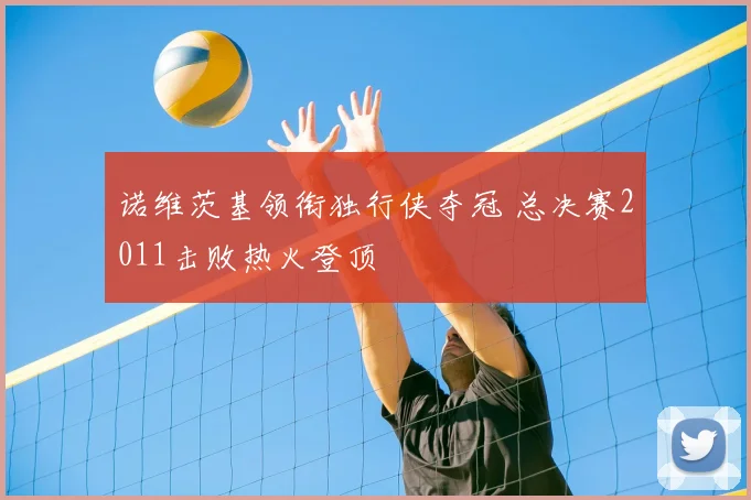 诺维茨基领衔独行侠夺冠 总决赛2011击败热火登顶
