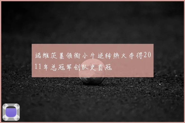 诺维茨基领衔小牛逆转热火夺得2011年总冠军创队史首冠