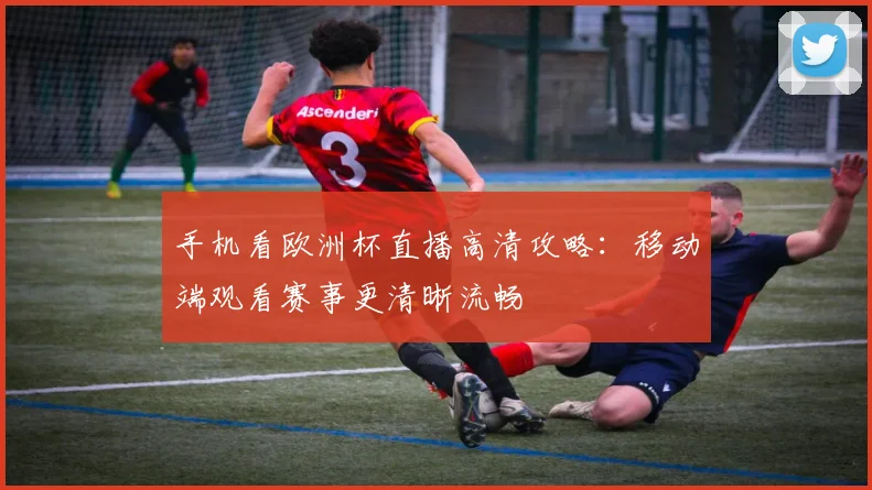 手机看欧洲杯直播高清攻略:移动端观看赛事更清晰流畅