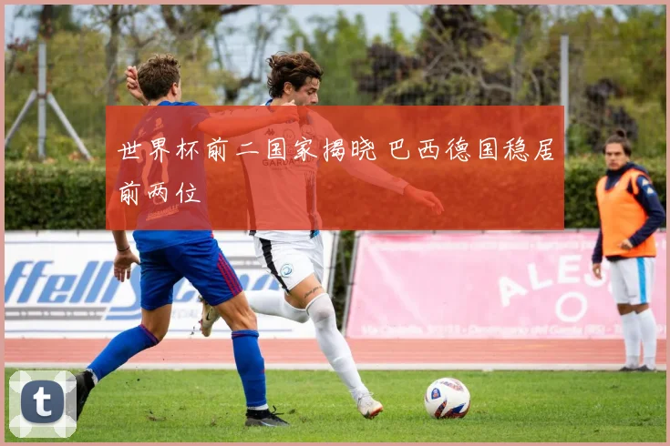 世界杯前二国家揭晓 巴西德国稳居前两位