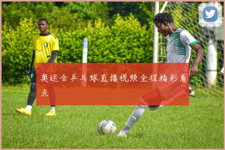 奥运会乒乓球直播视频全程精彩看点