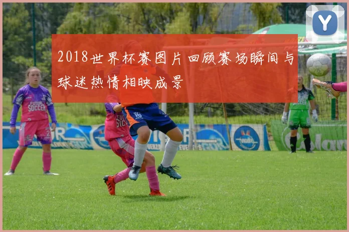 2018世界杯赛图片回顾赛场瞬间与球迷热情相映成景