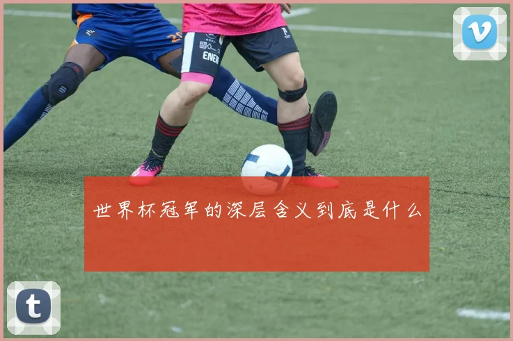 世界杯冠军的深层含义到底是什么