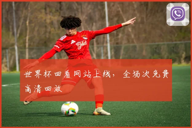 世界杯回看网站上线，全场次免费高清回放